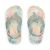 Tropical Floral