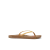 Golden Apricot