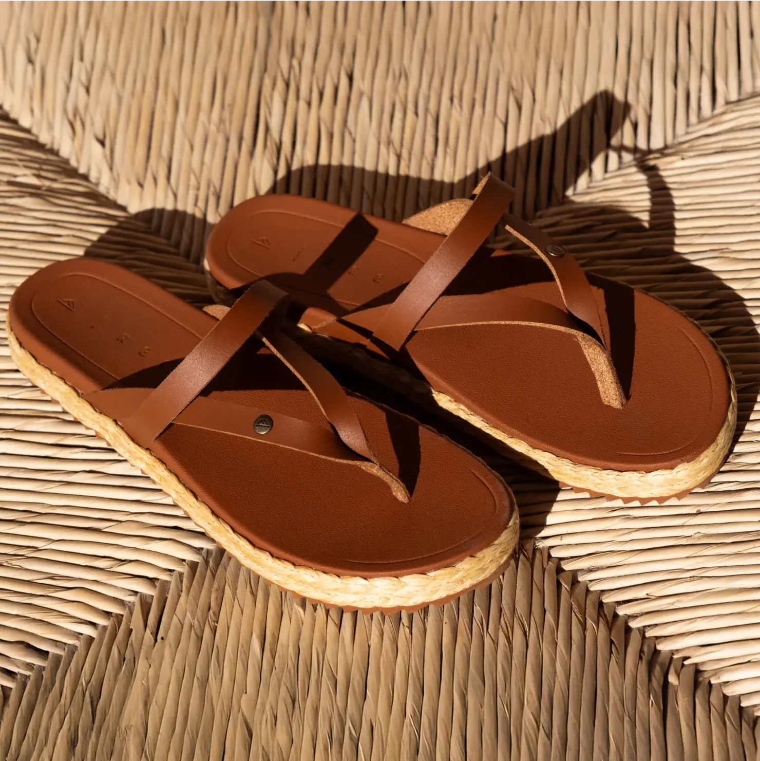 PDP-Carmen_Cocoa-PDPALT-2.webp