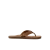 Bronze Brown
